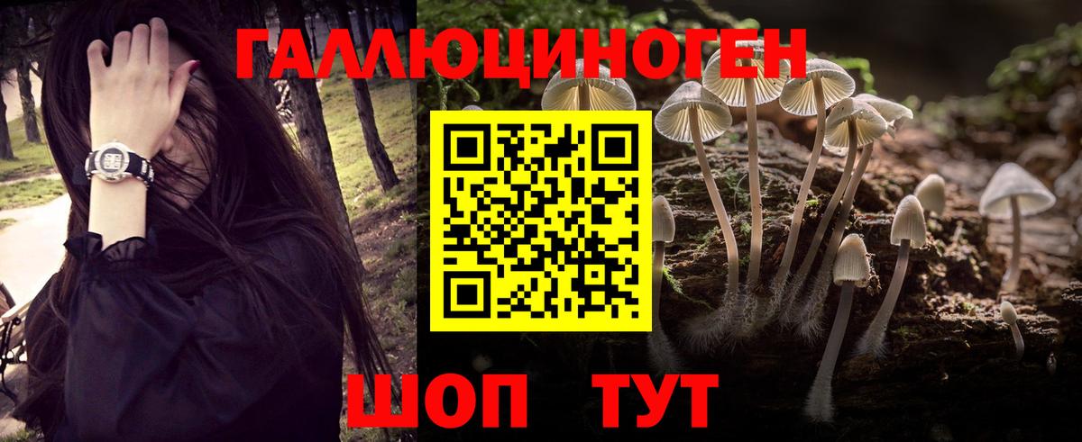 наркота  Вход с VPN  Тимашёвск  Галлюциногенные грибы мицелий 