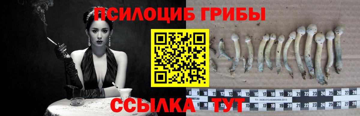 Псилоцибиновые грибы мухоморы Тимашёвск
